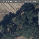 반남박씨 벌 명당은 진정 명당인가? (박응주 묘소의 천문지리 분석)