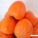 왕성초등학교 이미지