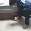 크린방역 이미지