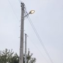 화도면-6 이미지