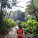 (버스)송탄공단입구 이미지