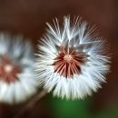 마음에고향 이미지