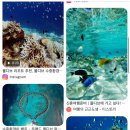 하이엔드플랜빌라퍼즈 | [신혼여행]몰디브 리조트학과 졸업 후기 리조트비교+견적공유