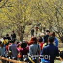 지리산 온천관광지 이미지