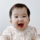 용인어린이상상의숲 가족 뮤지컬 <사슴 코딱코의 재판> 이미지