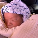 파티마여성병원 이미지