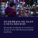 1165회 로또 당첨 번호 1등 예상번호 적중 포인트! 로또번호 4개 일치 방법 1166회 로또 당첨 번호 분석