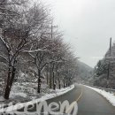 김원장캠핑 이미지