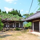 하죽 이미지