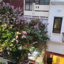 400동화장실 | 24.06.05 혼자 자유로 다녀온 하노이 4박6일-5일차 마지막날 : 하노이 대우호텔, 포틴쌀국수, 하노이...