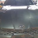 박 CARS 이미지