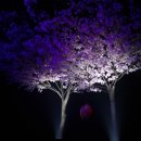 홍가수산 | 8th 톡서트 <주토피아> 3/24 (금) 첫공연 관람 후기 : 홍가수님의 재치있는 입담과 가슴을 뭉클하게...