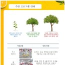 효 파워 점핑 이미지