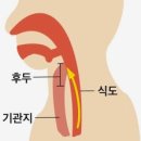엠케이짐 네이버블로그