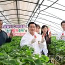 태건농장 이미지