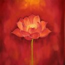 사랑과 기쁨 이미지