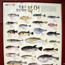 복칼국수 이미지