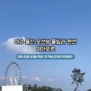 미아모르 이미지