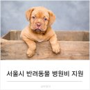 웰니스클리닉(청계천점) 이미지