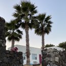 사계 아올 이미지