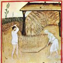 고대 로마의 영광은 어디로? 유적들이 무너진 이유는? 이미지