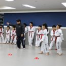 일동태권도장 이미지