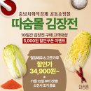 쌈지보령