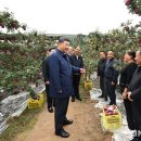 주석농장 이미지