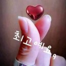라온교육원 이미지