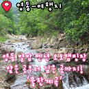 대전 근교 계곡 충북 영동 별밤펜션오토캠핑장 물한계곡 후기 수심 수질 화장실 평상 그늘 물놀이...