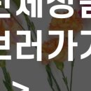 꽃다운플라워벤처컴퍼니 이미지