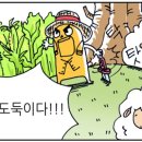 신호목장 네이버블로그