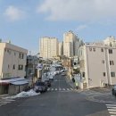 강릉부동산씨리얼 공인중개사사무소 네이버블로그