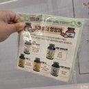 앵무새카페리프패럿분당
