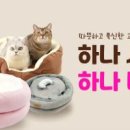 마성의냥이