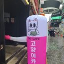 냥이 싸롱 이미지