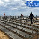 삼척해수욕장 이미지