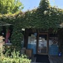 신지주유소 | 0801-0803 변산반도