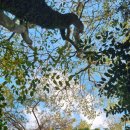 강원대학교 녹색생명산업정책대학원 이미지