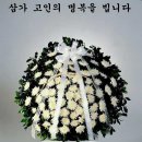 01-82 동구 이미지