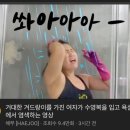 바위농장 이미지