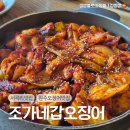 조가네갑오징어원주점 이미지