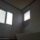 사파동150 이미지