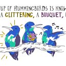 Delightful Ways We Refer to Groups of Animals in English 이미지