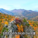산은 언제나 그 자리에 있다 이미지