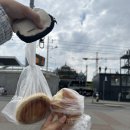 장미축제 | D+136 🇨🇿 체코 체스키 크룸로프 여행 | 6월 장미 축제 후기 | 기차역 노숙한 날 |