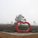 대산체육공원 이미지