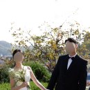 베르겔플라워 이미지