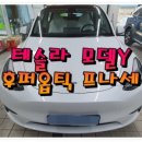 제이제이Y