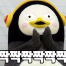 남성카타이어 이미지